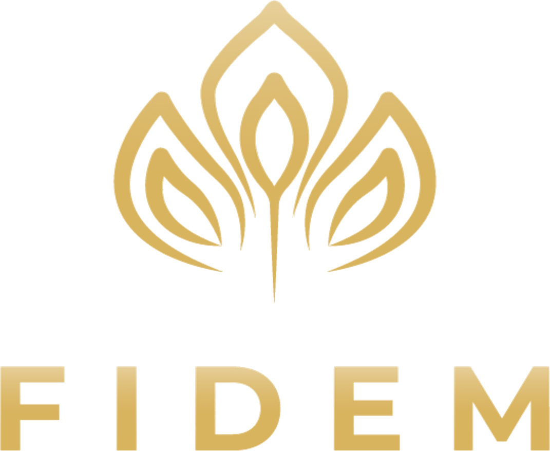 Logo FIDEM